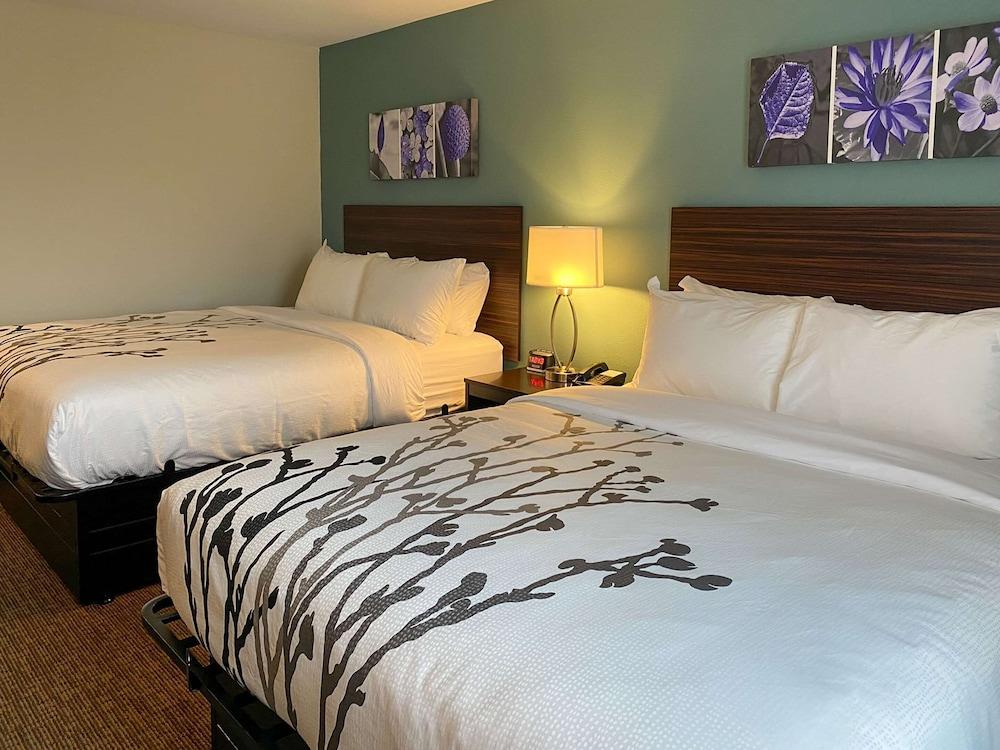 Sleep Inn & Suites - Coliseum Area photo 8