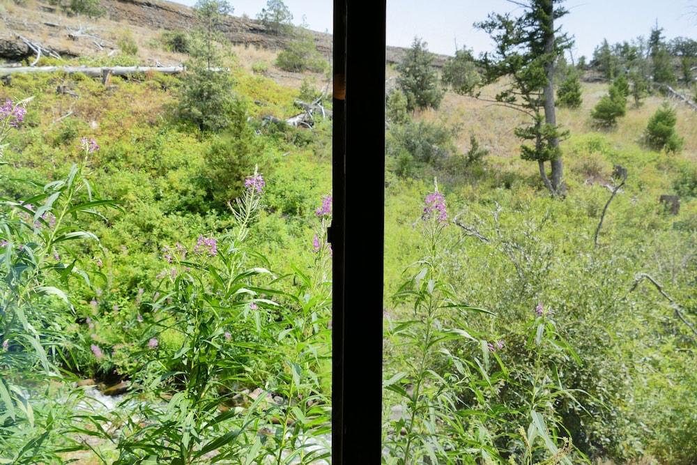 Creekside Lodge at Yellowstone photo 75