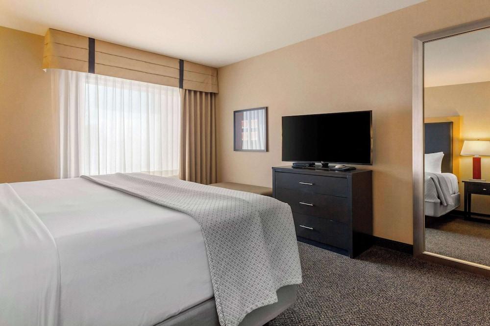 SpringHill Suites by Marriott Fort Collins photo 28
