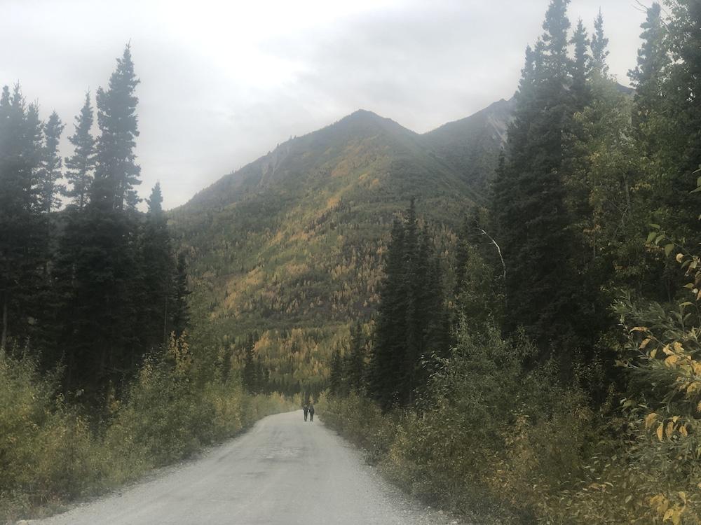 Wrangell Mountain Lodge photo 86
