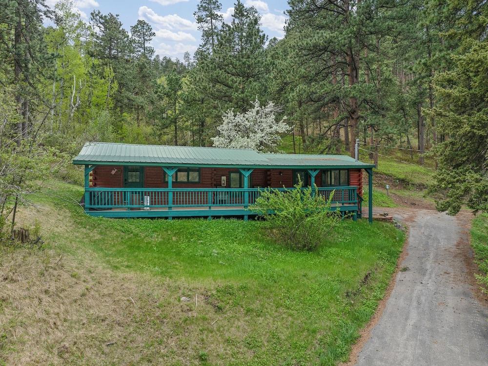Ponderosa Pines photo 9