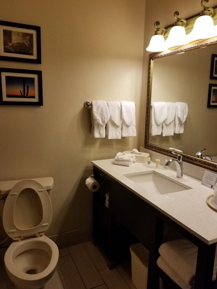 Comfort Suites McAllen photo 6