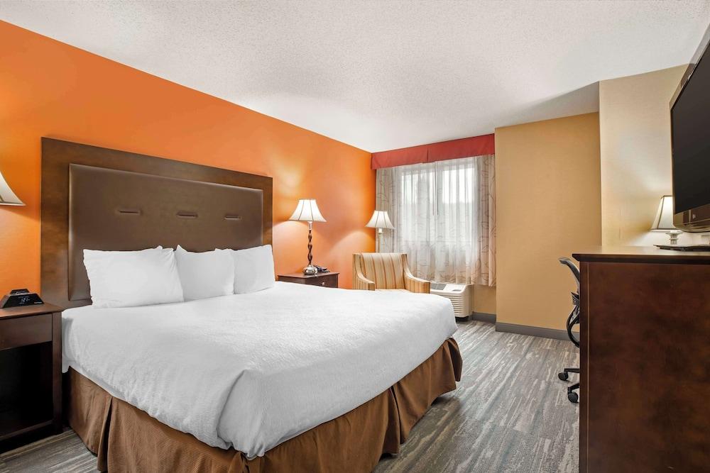 Best Western The Inn at Sharon/Foxboro photo 21