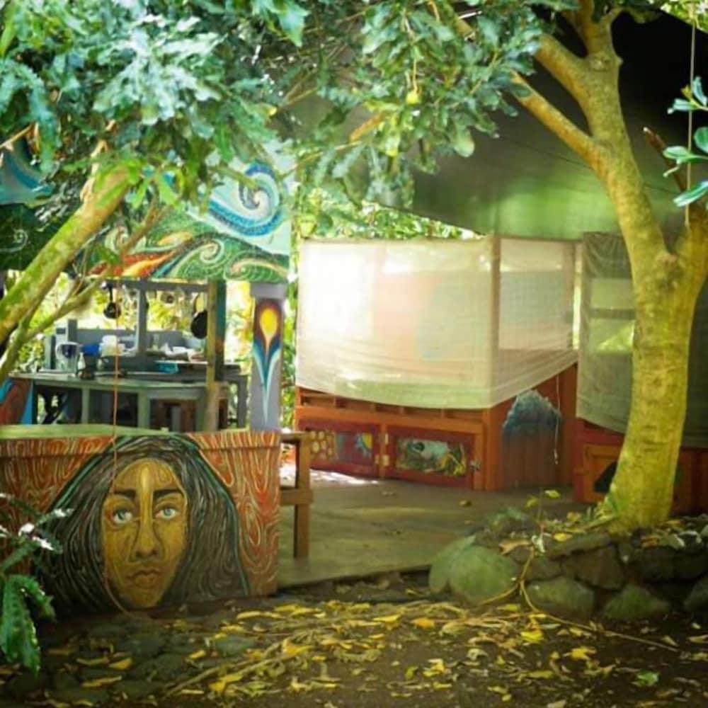 Cinderland EcoVillage - Hostel photo 58