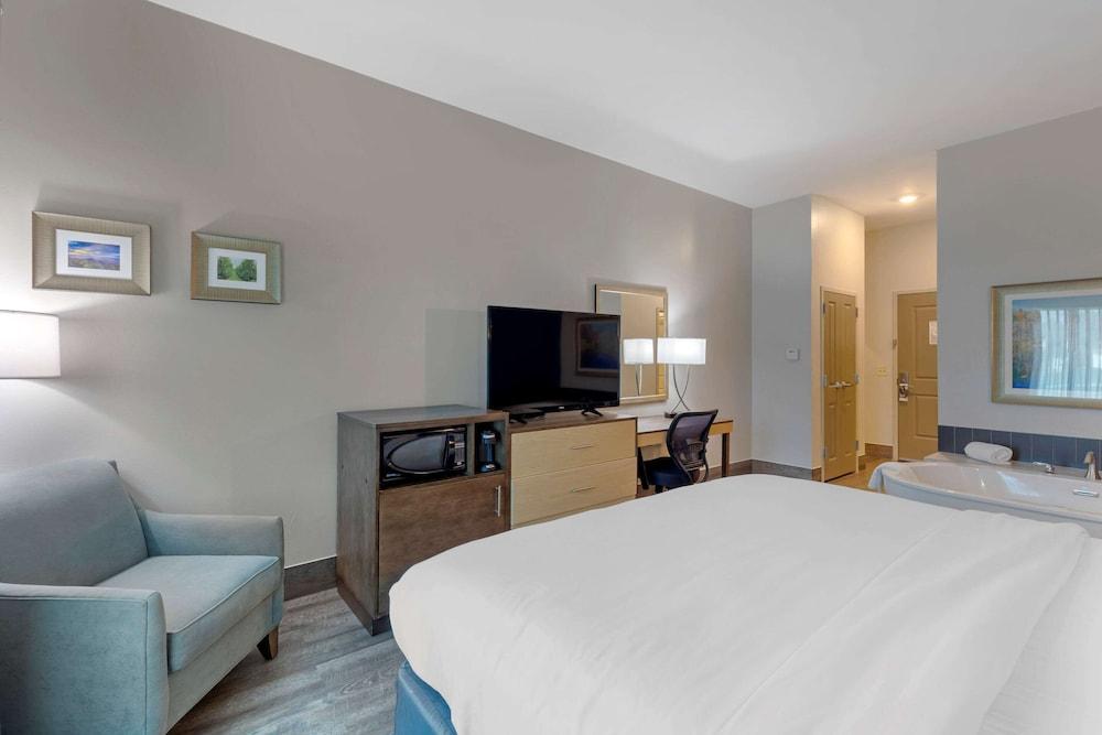 Comfort Inn & Suites East Ellijay photo 9