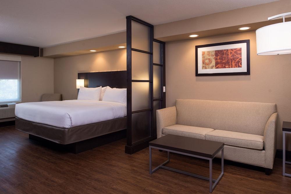 Holiday Inn Express & Suites San Antonio Medical-Six Flags by IHG photo 46