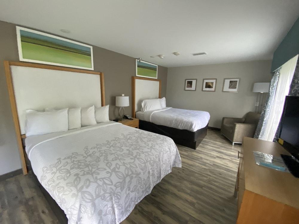 Red Roof Inn PLUS+ & Suites Tampa photo 14