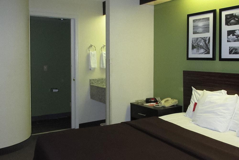 Rodeway Inn Albany South photo 8