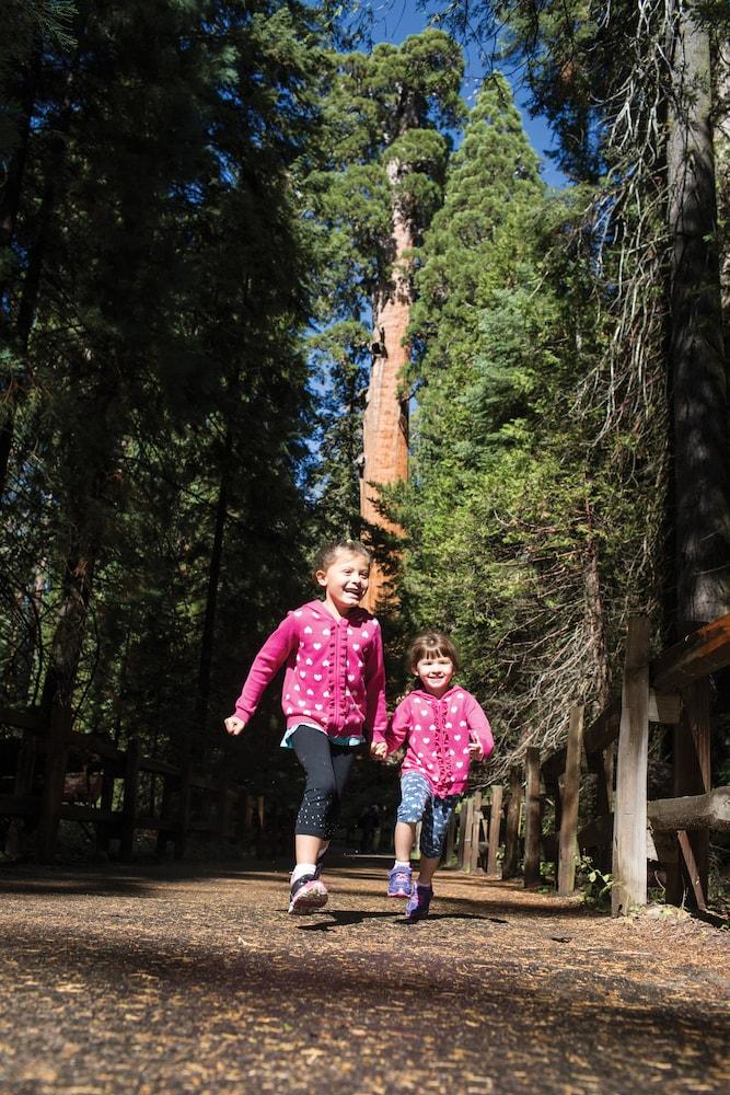 Wuksachi Lodge photo 34