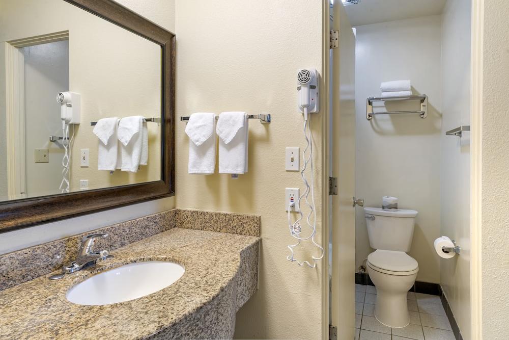 University Inn & Suites photo 15