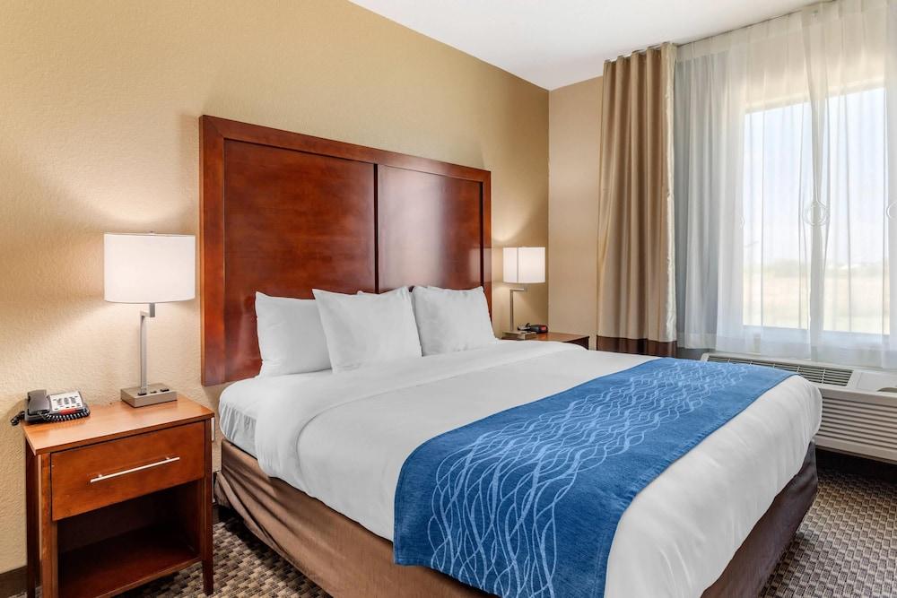 Comfort Inn & Suites Navasota photo 15