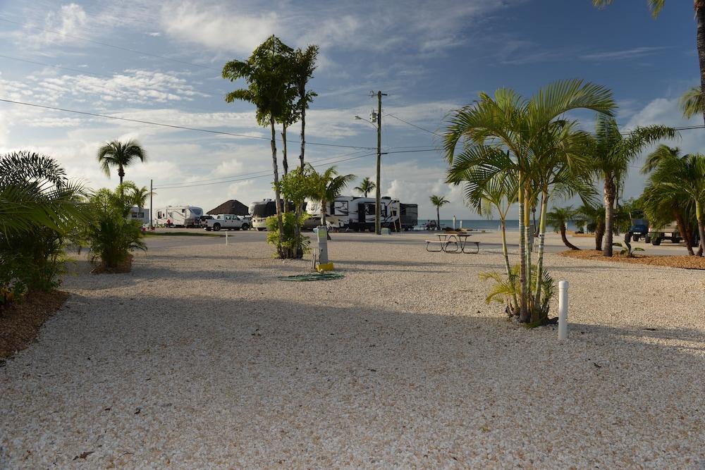 Fiesta Key RV Resort photo 68