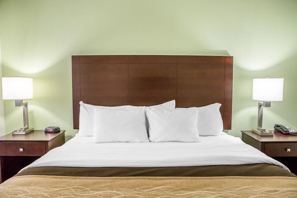 Comfort Inn Lexington South photo 9