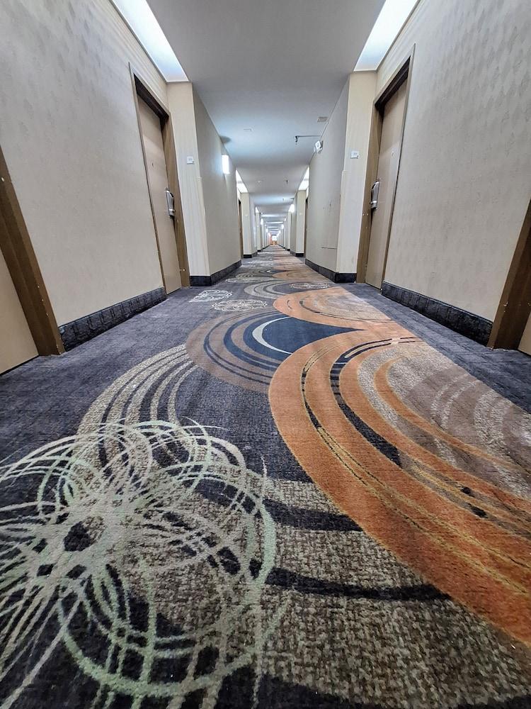 Trident Inn & Suites, New Orleans photo 26