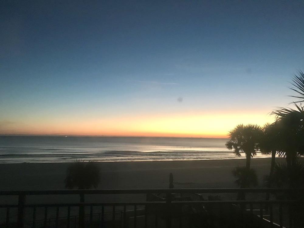 Organic Beach Retreat photo 55
