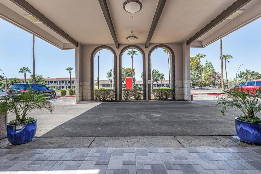 Tempe Oasis photo 15