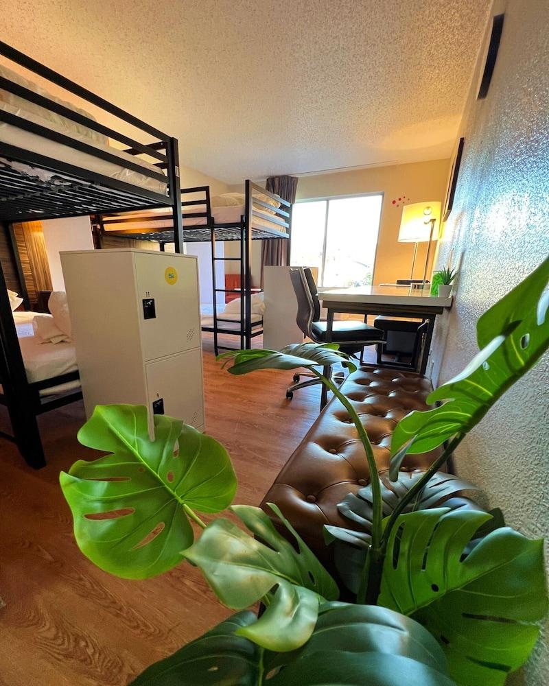 Bposhtels Charlotte - Hostel photo 4