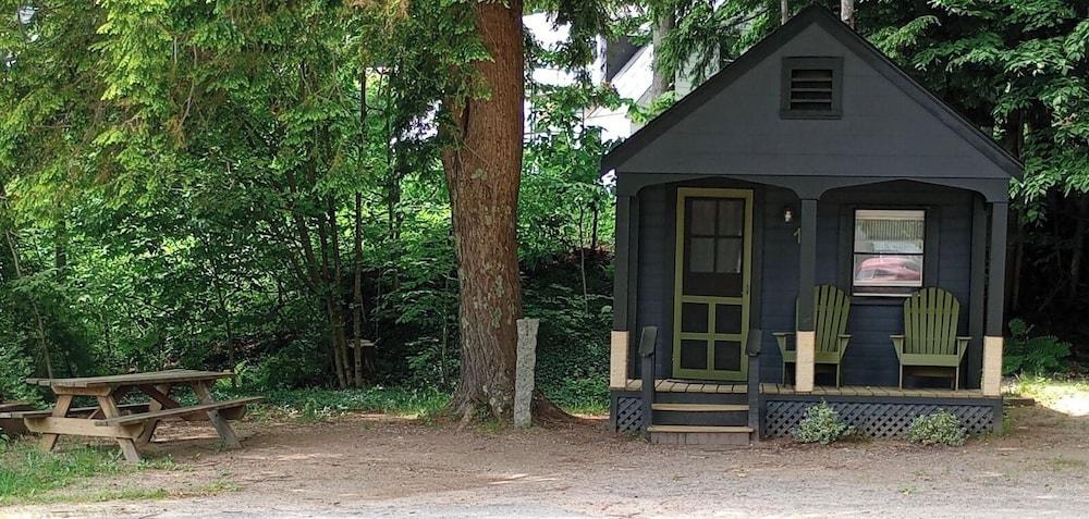 Cottage Place on Squam Lake photo 16