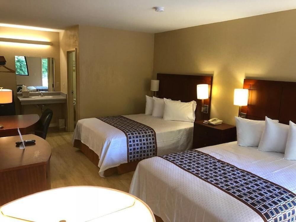 Inn Between The Hedges photo 6