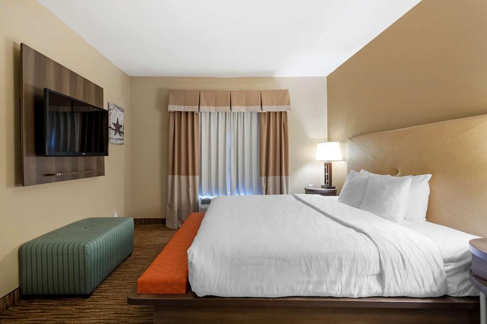 Best Western Plus DFW Airport Suites photo 10