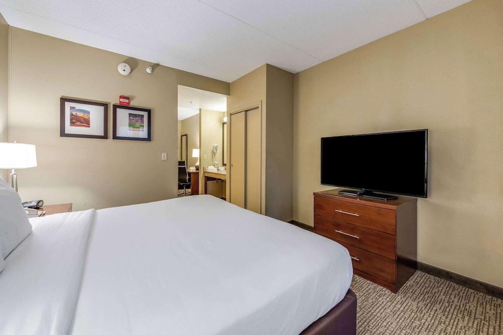 Comfort Suites Chicago O'Hare Airport photo 53
