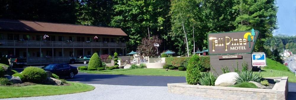 Tall Pines Motel photo 35