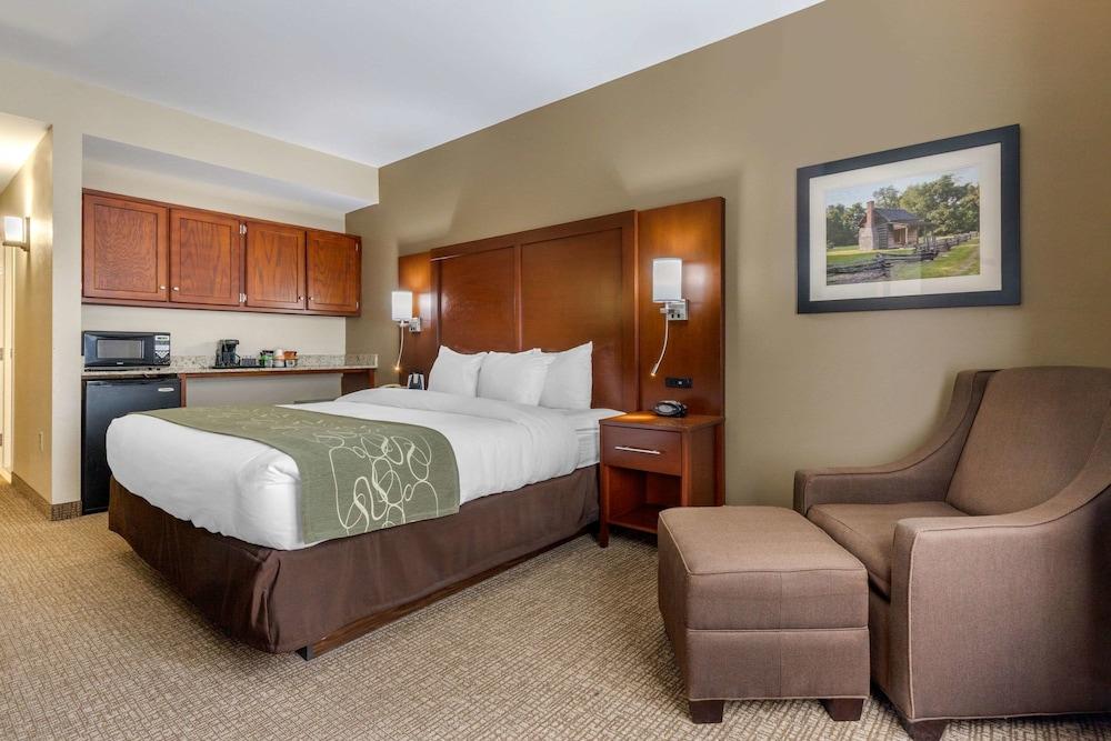Comfort Suites Johnson City near University photo 46