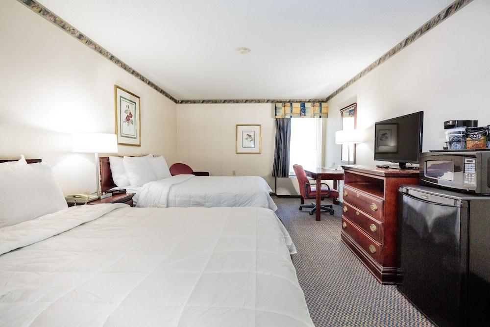 The View Inn & Suites photo 5
