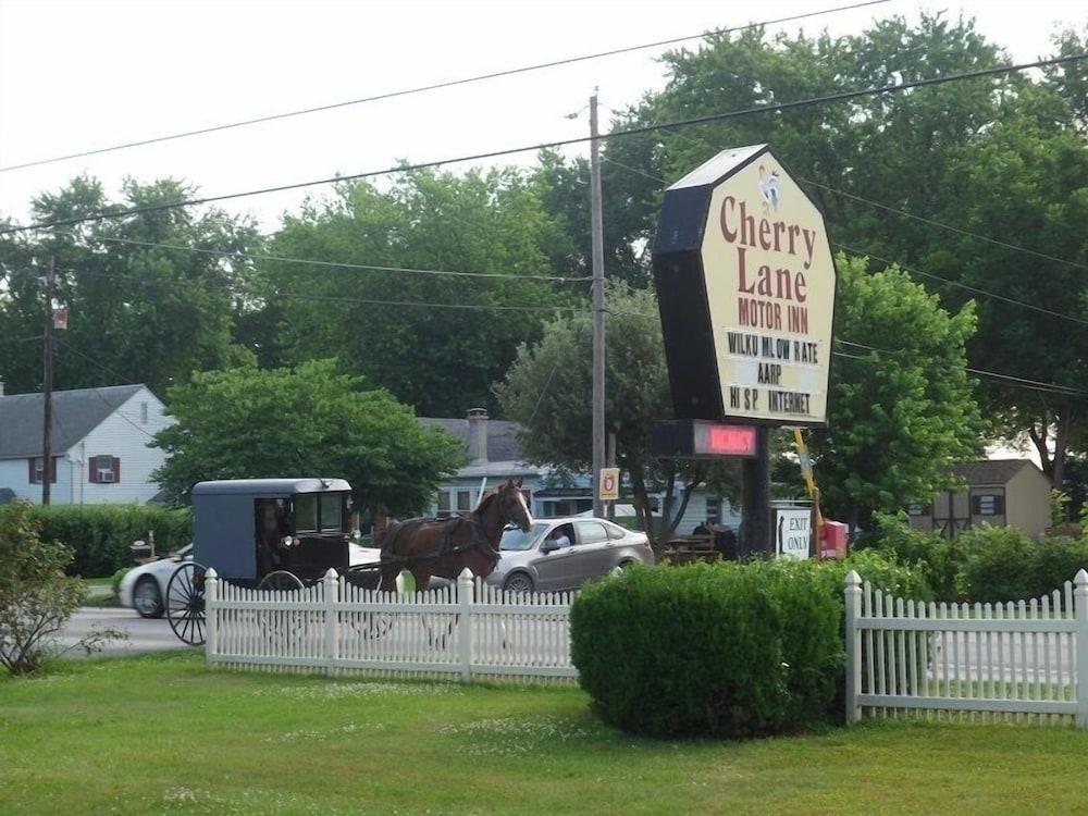 Cherry Lane Motor Inn photo 10