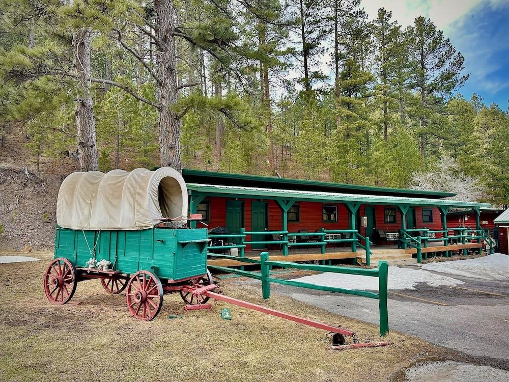 Ponderosa Pines photo 55