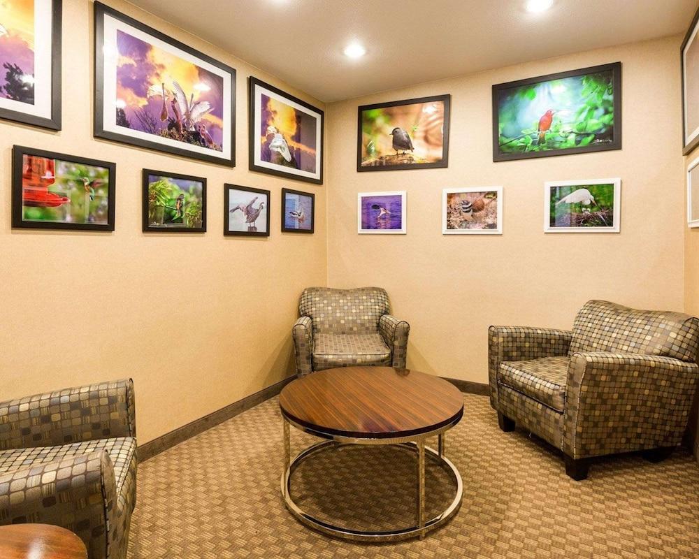 Comfort Inn & Suites Winnie photo 6