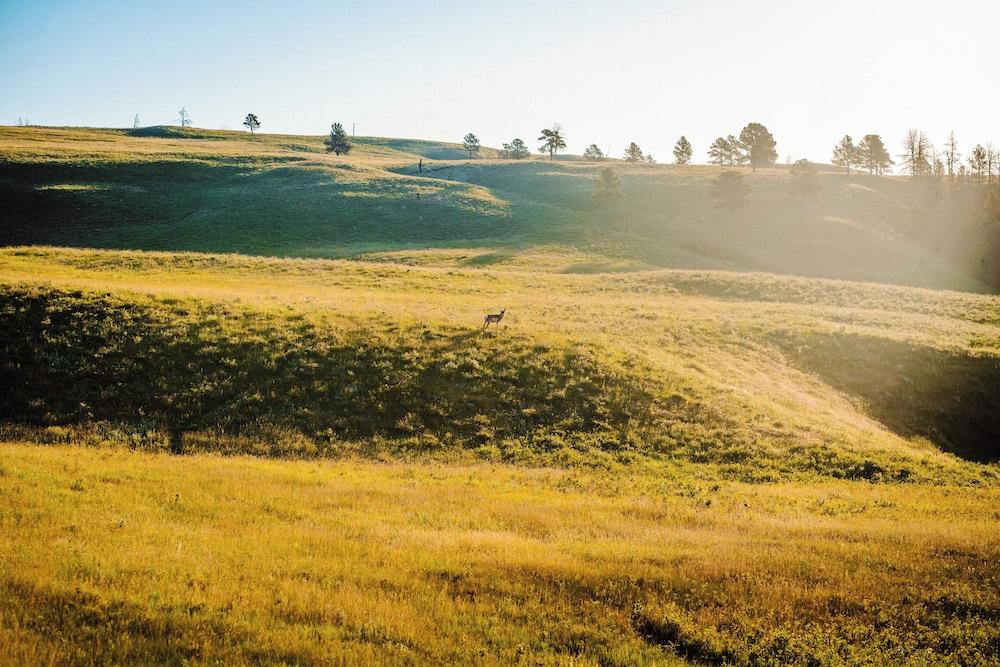 State Game Lodge at Custer State Park Resort photo 53