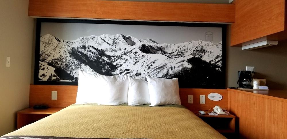 Royal Inn photo 10