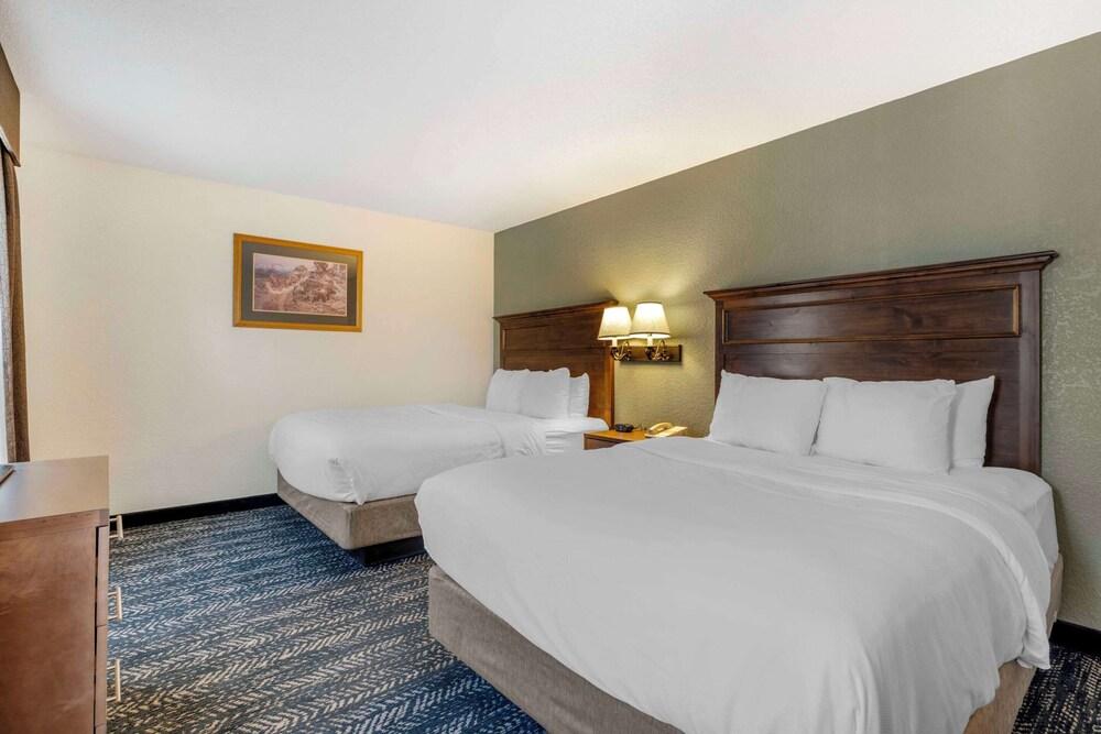 Comfort Inn & Suites Mt. Rushmore photo 16