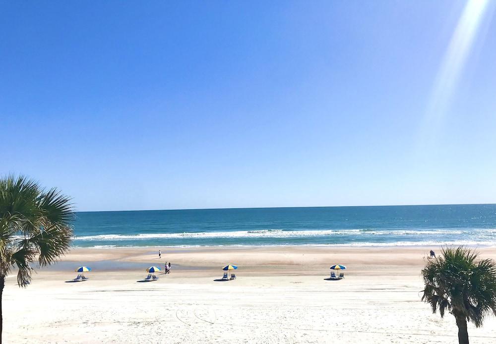 Organic Beach Retreat photo 58