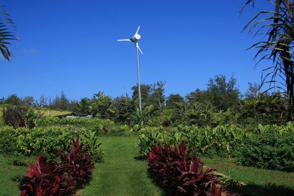 Hawaii Island Retreat photo 82