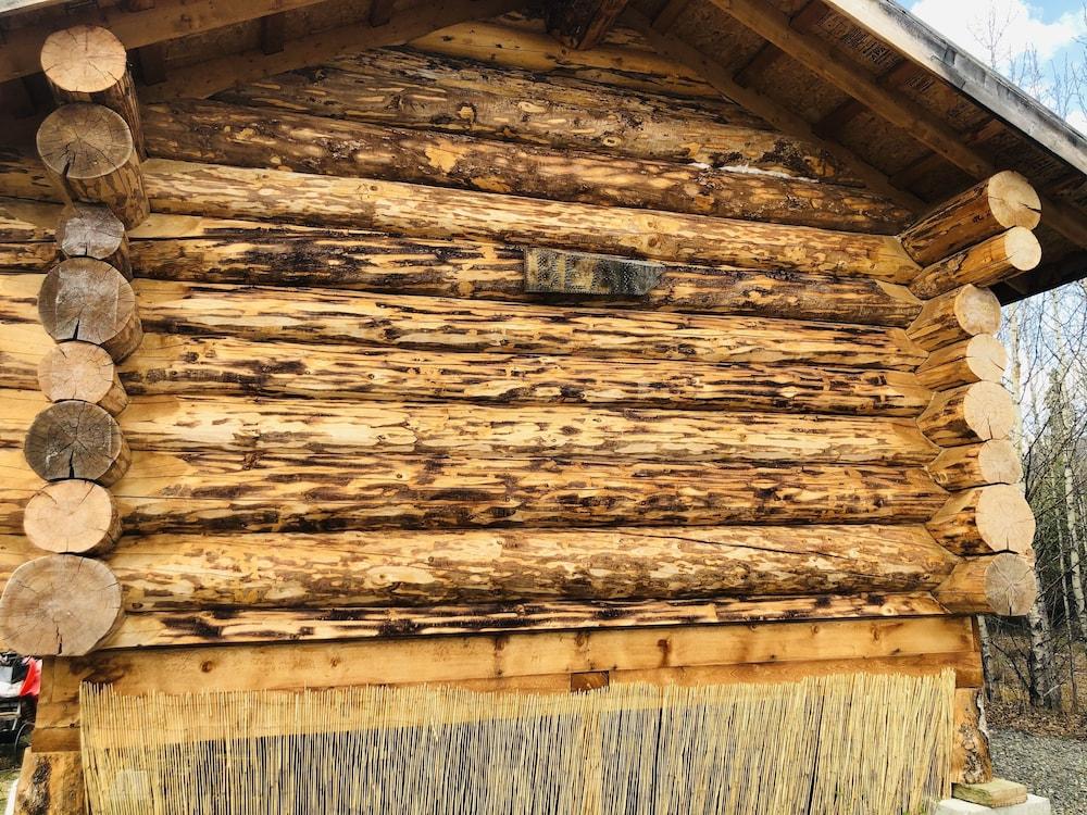 Wrangell Mountain Lodge photo 22