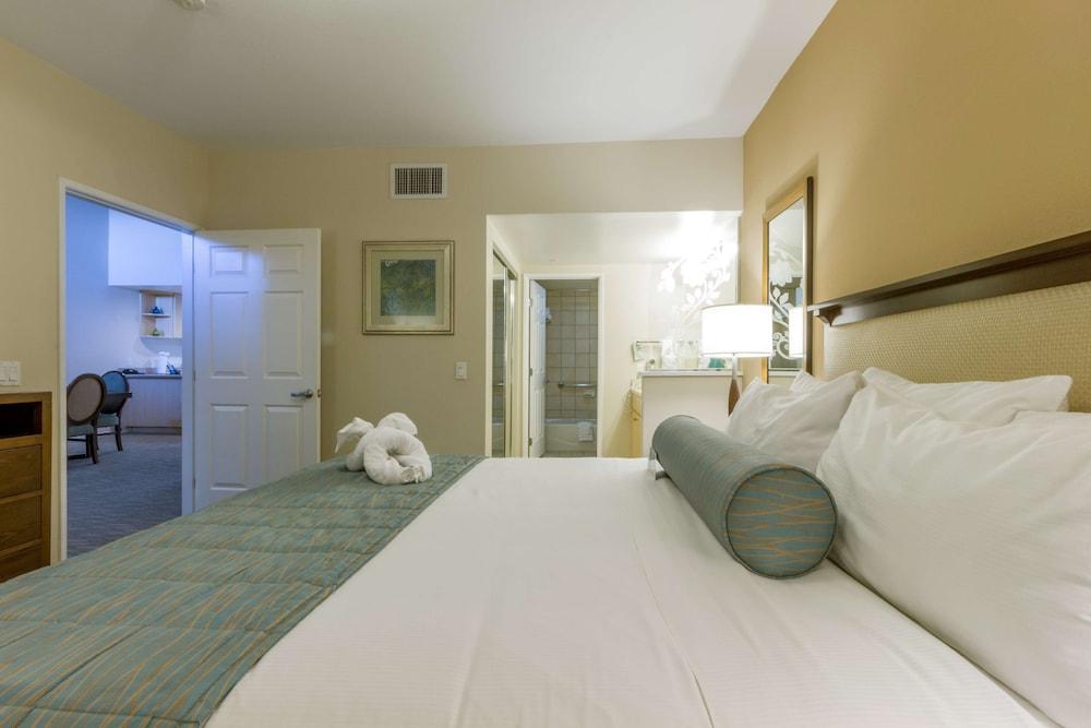 Grand Pacific Palisades photo 72