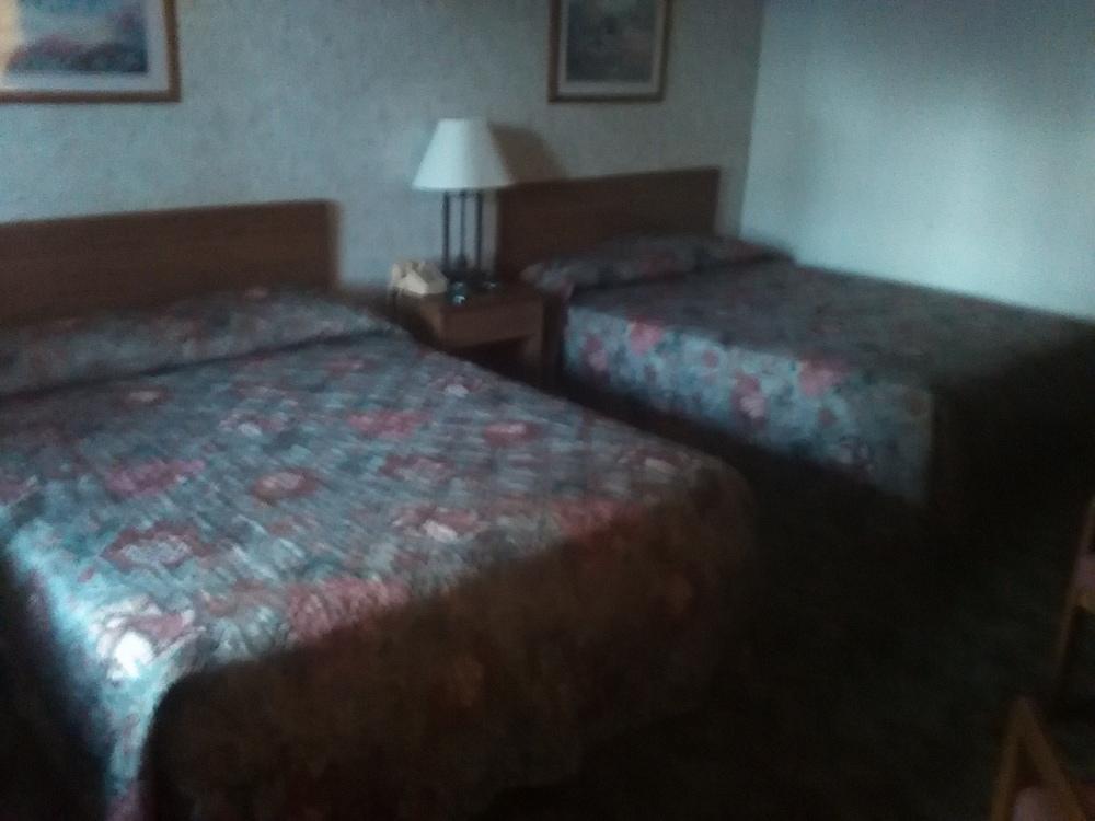 The Razorback Lodge photo 10