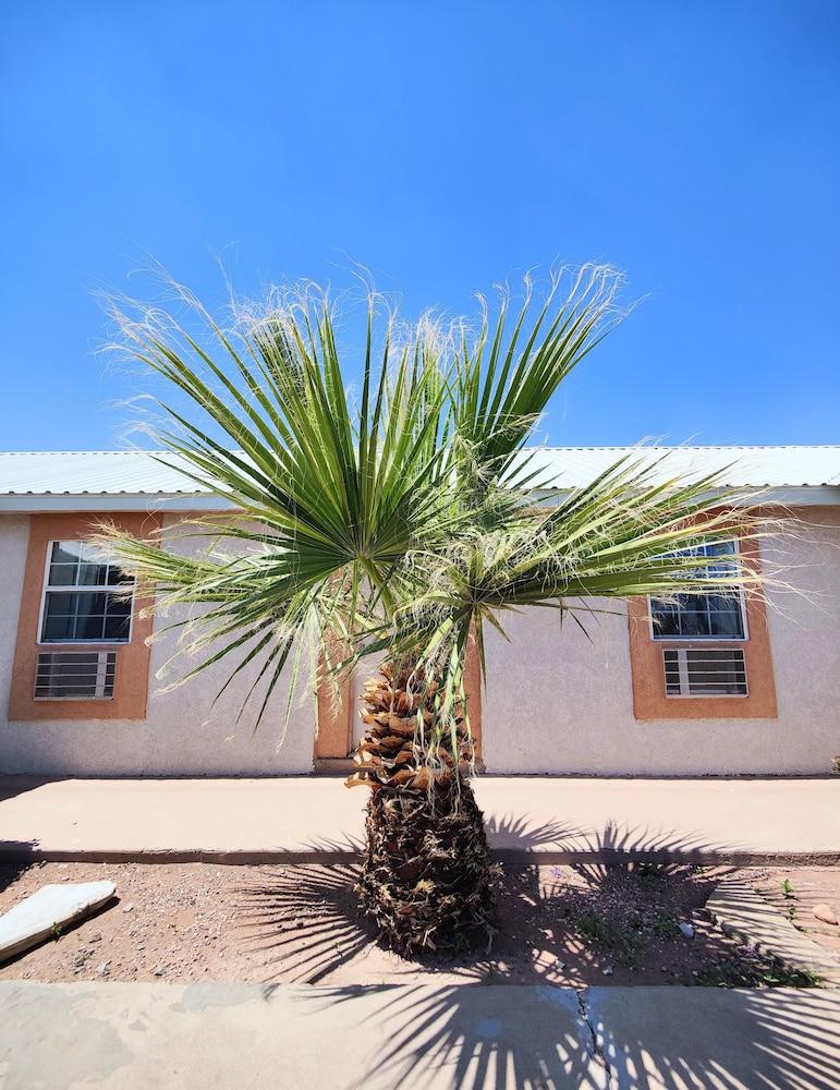 Desert Inn photo 11
