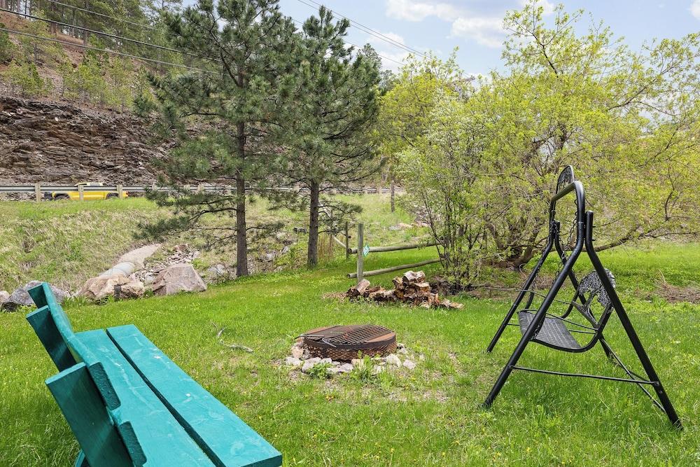 Ponderosa Pines photo 62