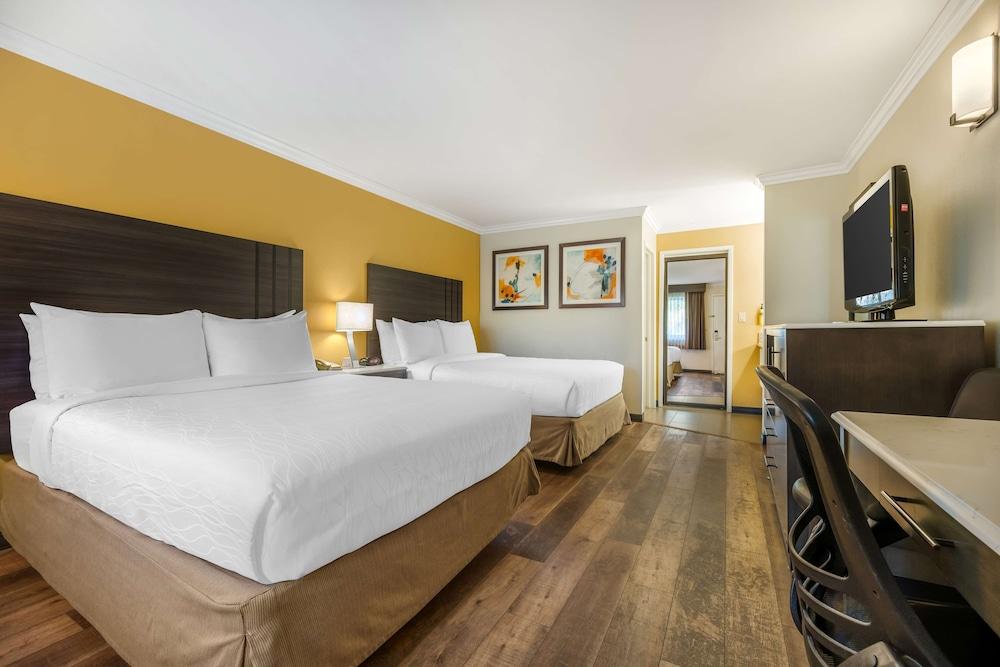 Best Western Plus Orange County Airport North photo 2