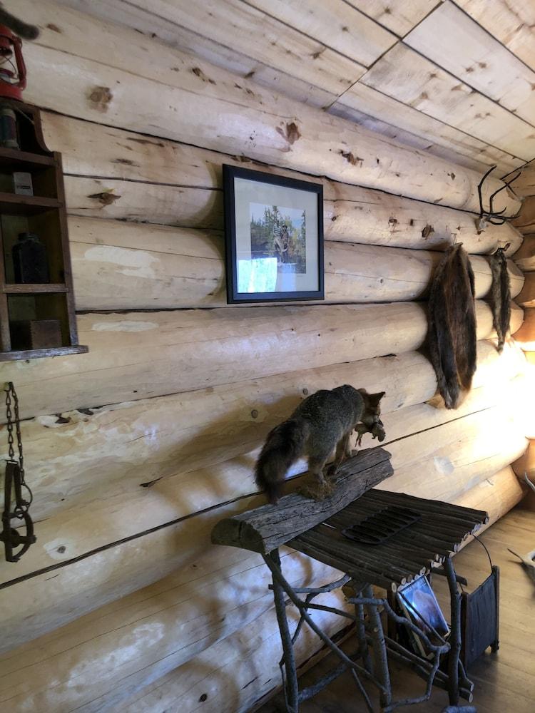 Wrangell Mountain Lodge photo 11