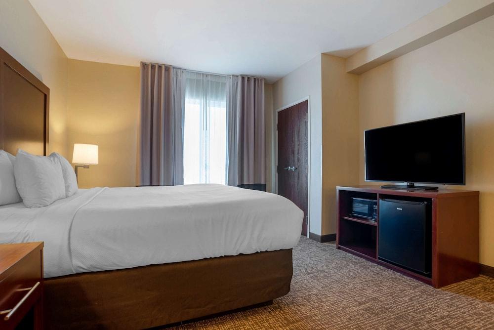 Comfort Suites Foley photo 6