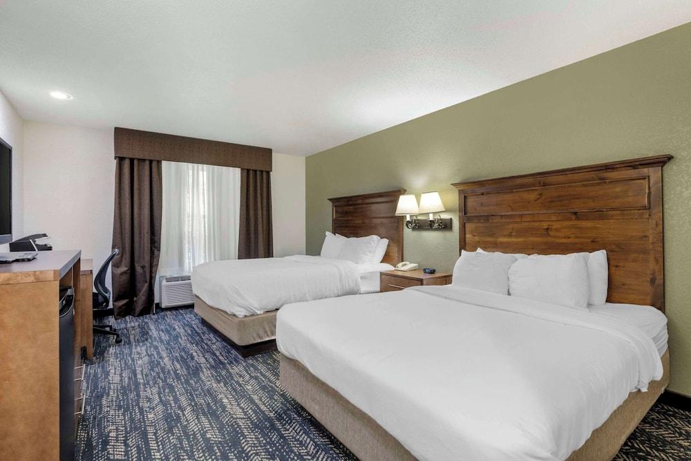 Comfort Inn & Suites Mt. Rushmore photo 9