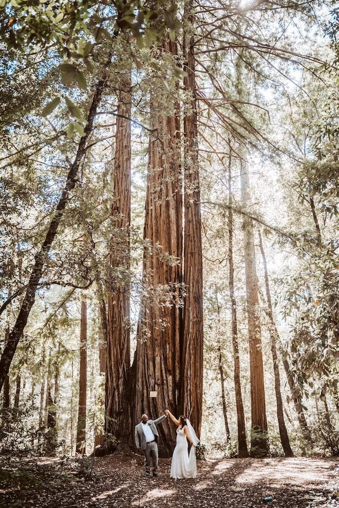 Redwoods River Resort photo 69