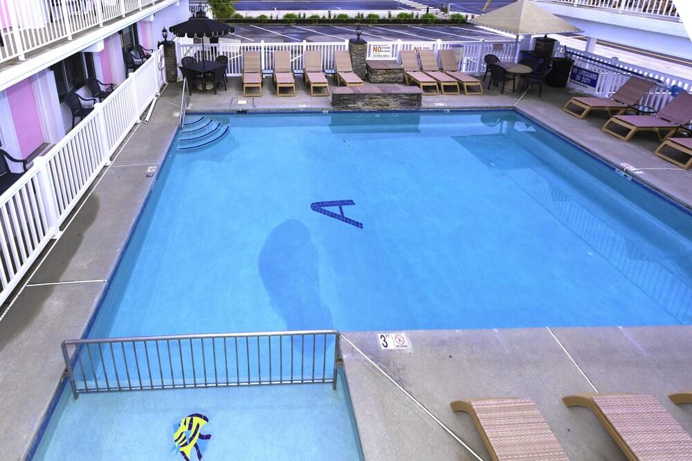 Alante Oceanfront Motel photo 7