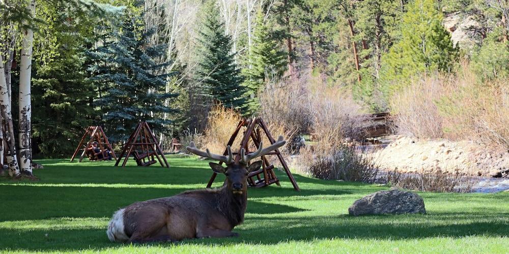 Aspen Winds on Fall River photo 45