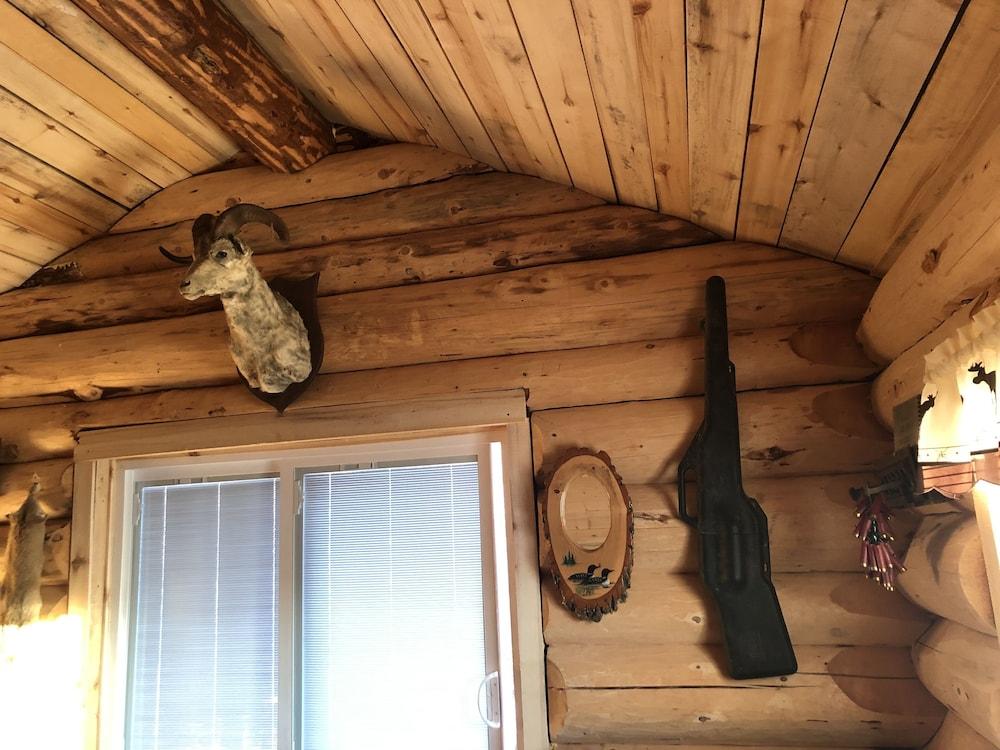 Wrangell Mountain Lodge photo 13