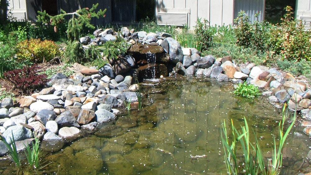 Wilderness Inn photo 19